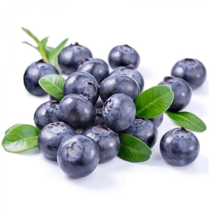 Fresh Blueberry Premium - Image 2