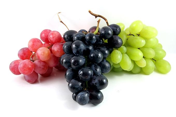 Fresh Grapes Tri Color Combo (Green, Red & Black)