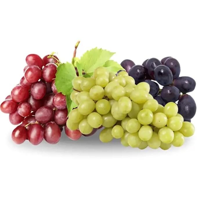 Fresh Grapes Tri Color Combo (Green, Red & Black) - Image 2